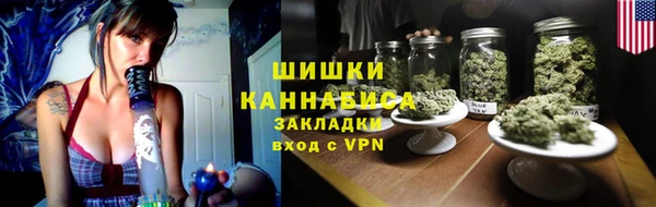 PSILOCYBIN Аркадак