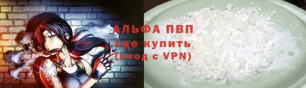 PSILOCYBIN Аркадак