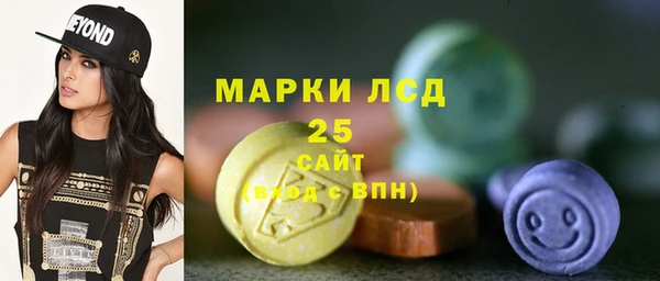 PSILOCYBIN Аркадак