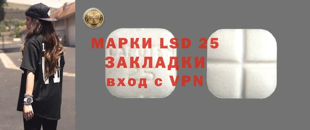 PSILOCYBIN Аркадак