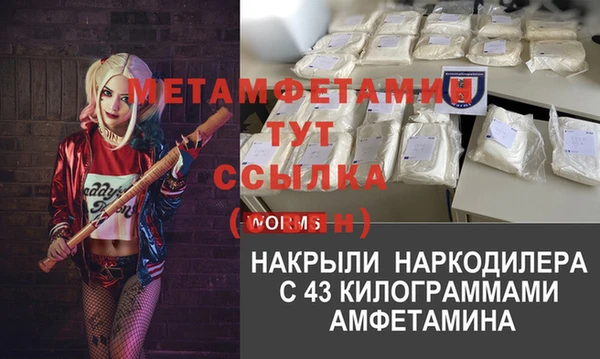 PSILOCYBIN Аркадак