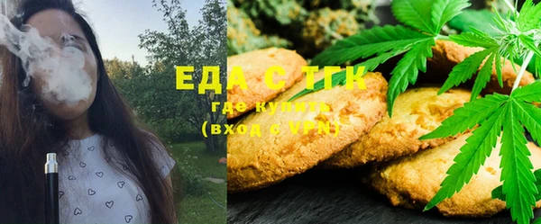 PSILOCYBIN Аркадак