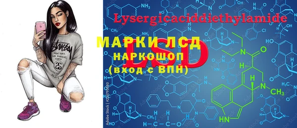 PSILOCYBIN Аркадак