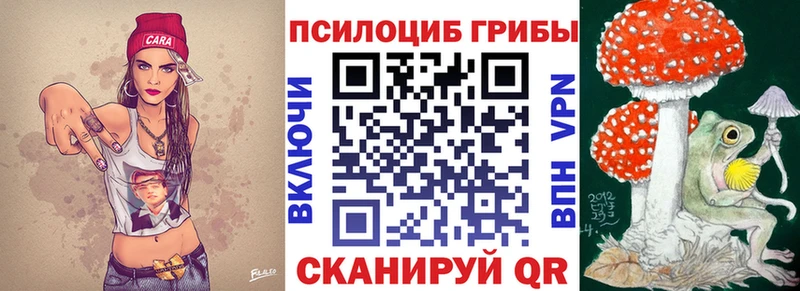 Псилоцибиновые грибы GOLDEN TEACHER  Реутов 